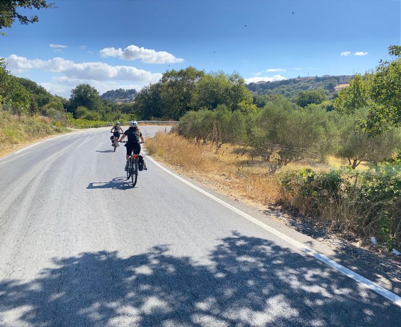 Heraklion: Wine Tasting E-Bike Tour - What’s included (and what you’ll need to handle yourself)
