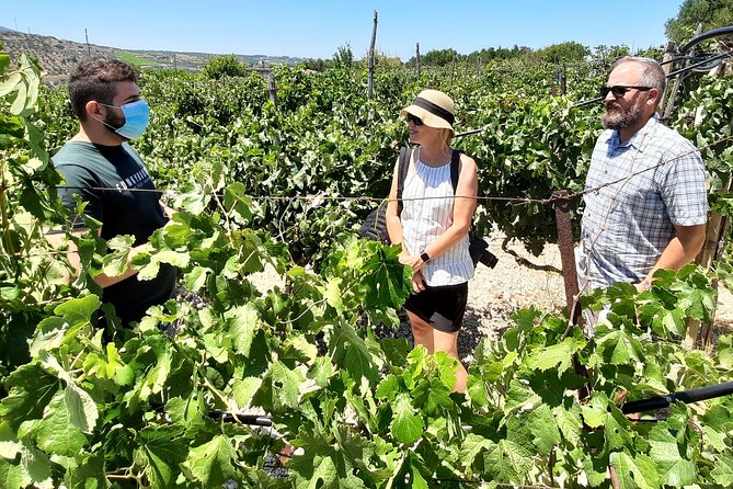 Heraklion wine tour & Cretan meze lunch - Winery Stop 2: How 14 Wine Labels Make the Day Make Sense