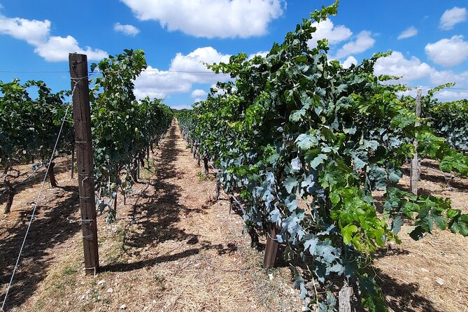 Heraklion wine tour & Cretan meze lunch - Village Sightseeing: Small Stops That Add Texture