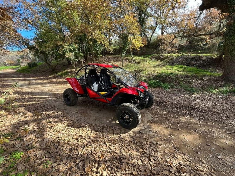 Hersonissos: Buggy Adventure Tour - The Canyon Drive Back: The Dusty Finale You’ll Remember