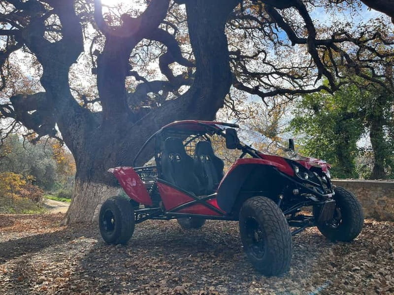 Hersonissos: Buggy Adventure Tour - Guides, English Commentary, and the Family-Run Feel