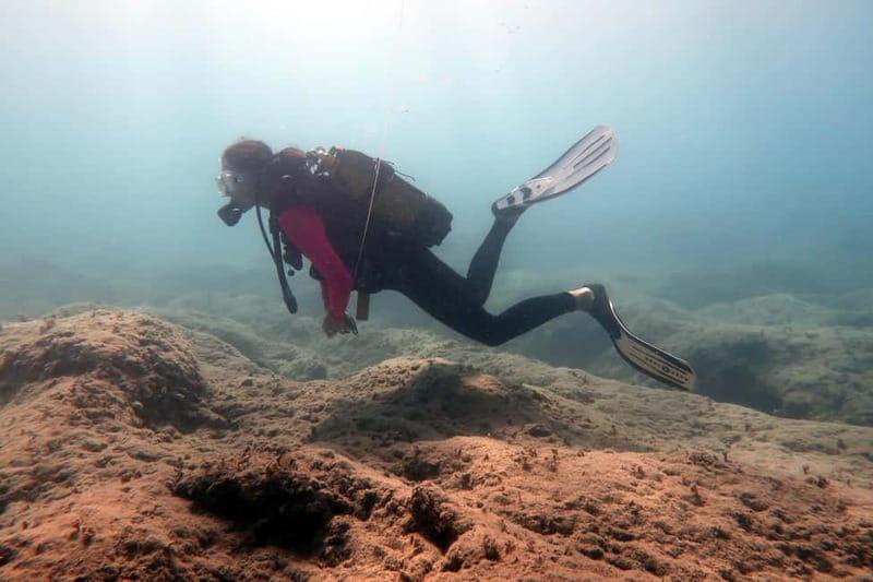 Hersonissos, Stalida: Scuba Diving Experience for beginners - Quick Take: What You’ll Likely Love