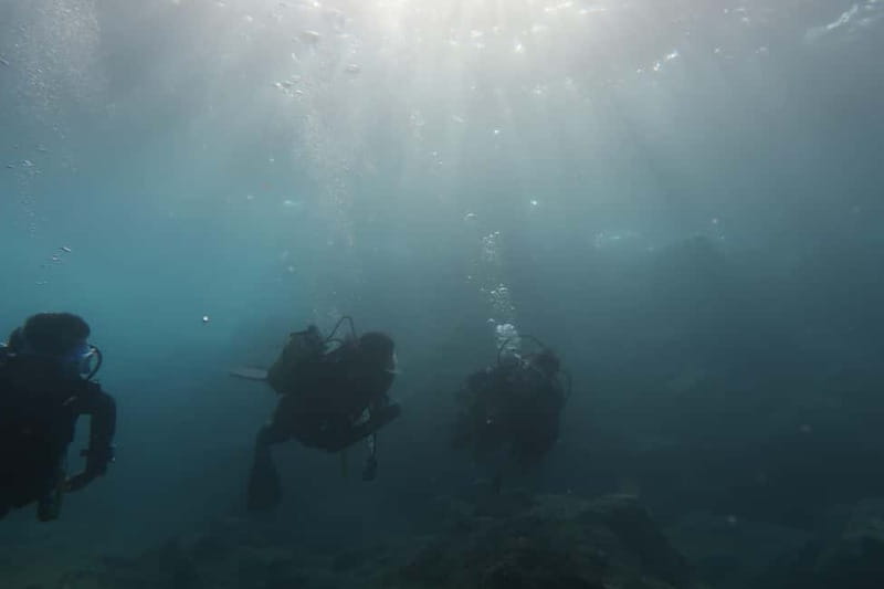 Hersonissos, Stalida: Scuba Diving Experience for beginners - Fitness and Medical Limits: Read This Part Carefully