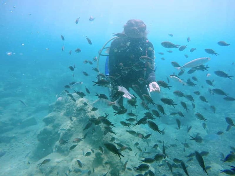 Hersonissos, Stalida: Scuba Diving Experience for beginners - Where It Starts: Nana Golden Beach Meet-Up and Getting In