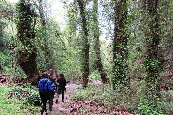 HIDDEN GEMS - RICHTIS GORGE for nature lovers! - Pickup and the small-group rhythm (what it feels like on the road)
