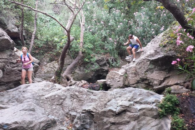 HIDDEN GEMS - RICHTIS GORGE for nature lovers! - Stop 2: Azorias and the Late Minoan settlement plus the oldest olive tree