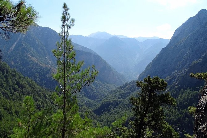 Hiking at Samaria, the longest Gorge in Europe! From Chania - The 16–16.5 km gorge hike: cliffs, streams, abandoned villages, and goats