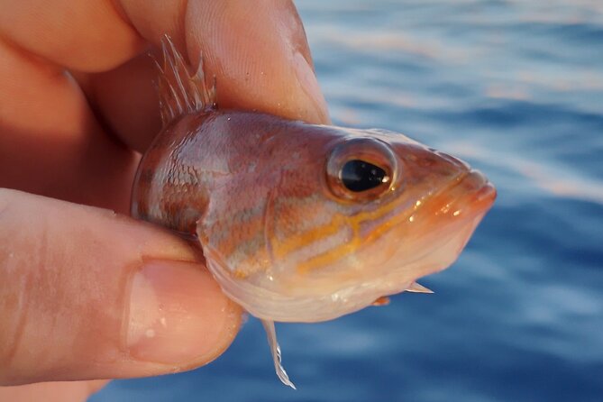 Hook Your Adventure Now with Chania Rod Fishing Experience - Swimming break on a private beach: when the day opens up