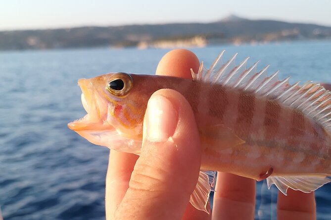 Hook Your Adventure Now with Chania Rod Fishing Experience - What to bring for an easy fishing morning in Kalyves
