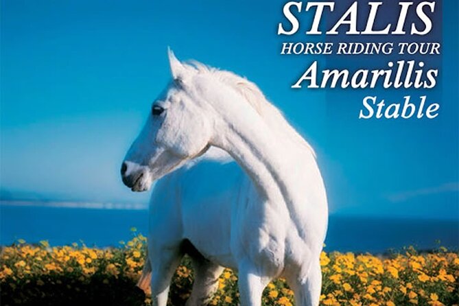 HORSE RIDING 1.5 hours mountains from area Hersonissos CRETE - Key Points You’ll Care About