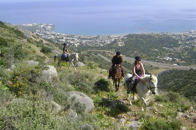 HORSE RIDING 1.5 hours mountains from area Hersonissos CRETE - What This Ride Really Feels Like (Pace, Expectations, and Comfort)