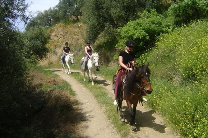 HORSE RIDING 1.5 hours mountains from area Hersonissos CRETE - Nicolas/Nico’s Role: Small-Group Control and Clear Pre-Ride Instruction