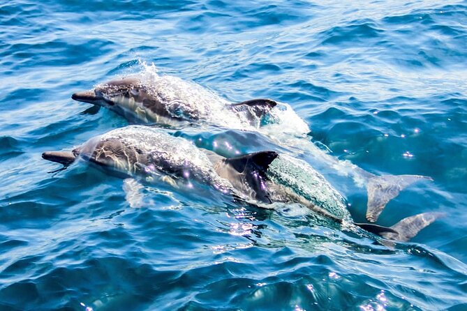 Ierapetra: Chrissi Island Luxury Yacht Cruise with Meal - Price and value: what $136 buys you (and what to watch)