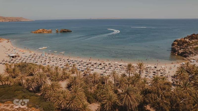 Ierapetra-Makrigialos: Vai Palm Beach, Moni Toplou & Sitia - Key things that make this tour worth your time