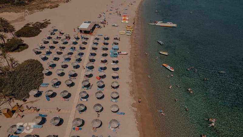 Ierapetra-Makrigialos: Vai Palm Beach, Moni Toplou & Sitia - Should You Book This Tour?