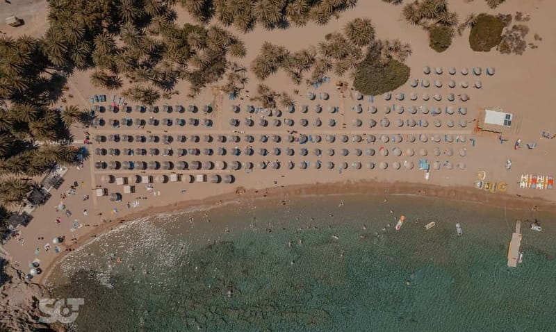 Ierapetra-Makrigialos: Vai Palm Beach, Moni Toplou & Sitia - Eastern Crete In One Long Day: Ierapetra to Vai