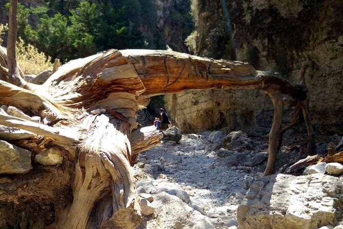 Imbros Gorge Adventure Day Trip from Chania - Footwear, pace, and heat: how to plan for the canyon walk