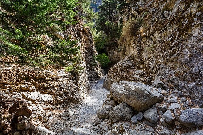 Imbros Gorge Guided Hike & Swim – Day Trip from Chania - The Morning Logistics: 7:30 am Pickup, AC Bus, and Mobile Ticket