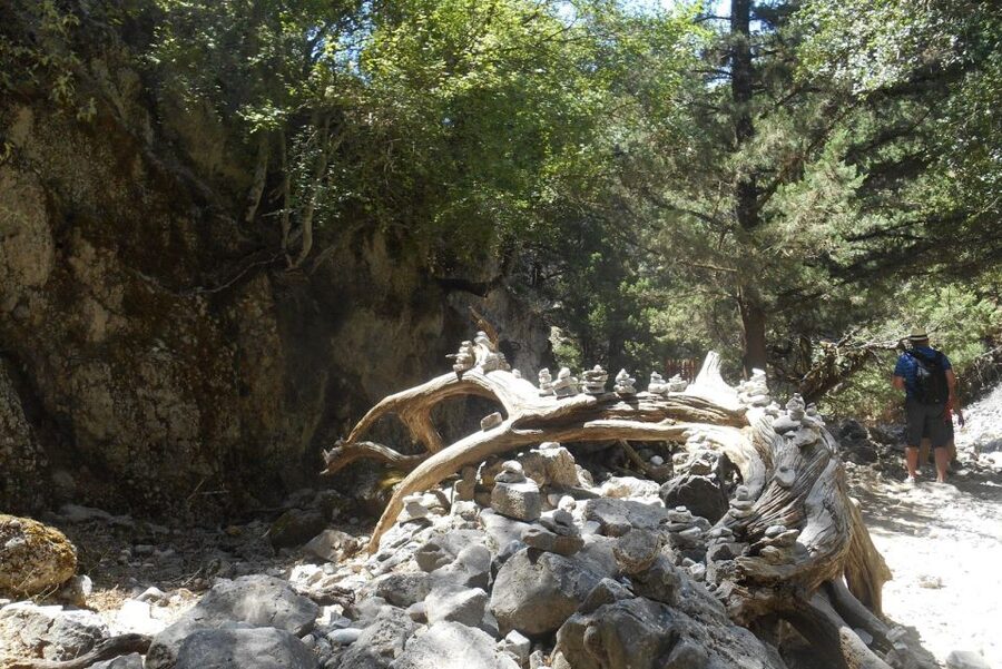 Imbros Gorge Hike From Rethymno - Key things I think you’ll care about