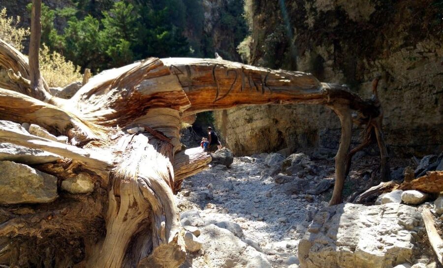 Imbros Gorge Hike From Rethymno - Breakfast and the 2.5-hour gorge walk through towering cliffs