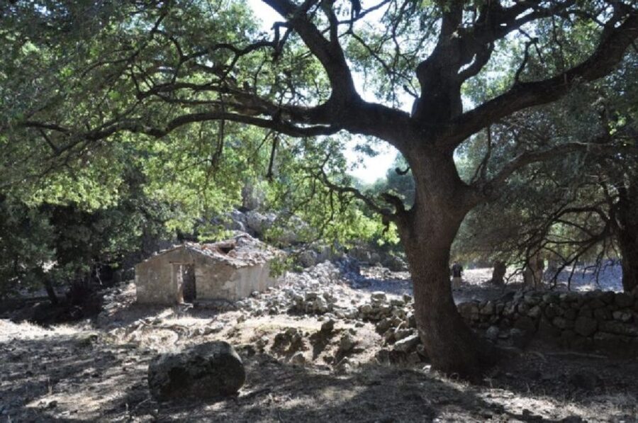 Imbros Gorge Hike From Rethymno - What to expect about breaks, mid-walk stops, and pacing