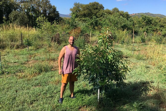 In Crete Discover the miracle of Olive Oil and Organic Fruits - What the three phases of olive oil production mean to you