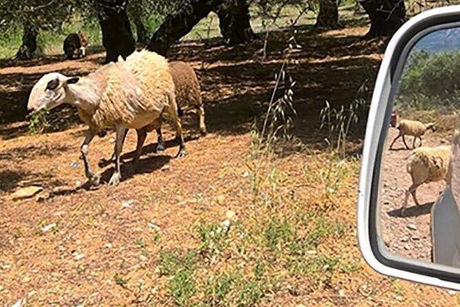 Jeep Safari 4x4 Crete real off road mountain tracks with Lunch from Hersonissos - Price and Value: Is $78.03 Worth Your One Full Day?