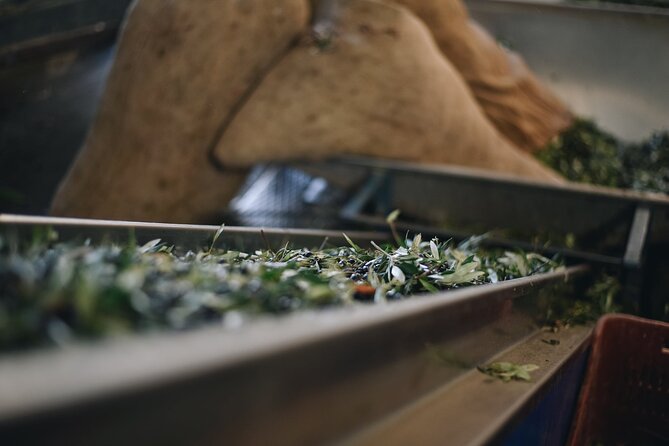 Kleanthi Olive Farm: Guided Tour with Local Delicacies Tasting - Price and value: what $25.34 buys you in real terms