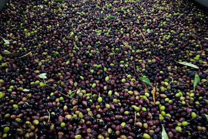 Kleanthi Olive Farm: Guided Tour with Local Delicacies Tasting - Best time to go and who this tour suits