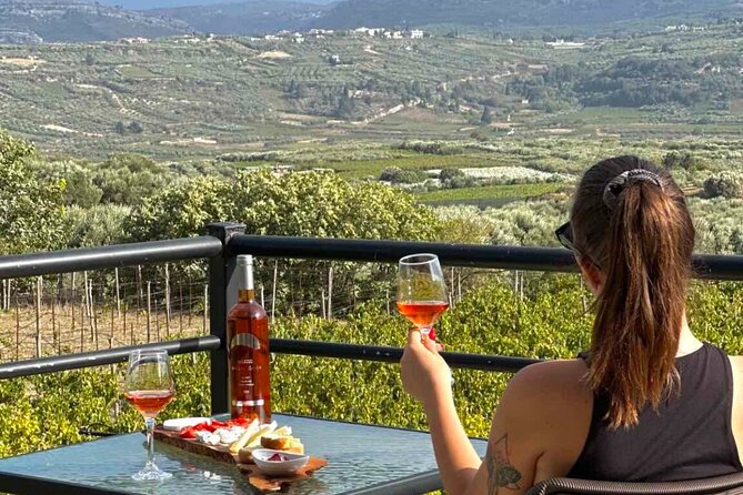 Knossos and Wine A Journey Through History and Flavors - Winery Stilianou: organic grapes, olive grove work, and tastings included