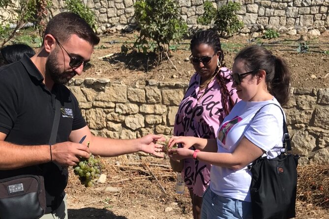 Knossos and Wine A Journey Through History and Flavors - Who this Knossos and wine day fits best