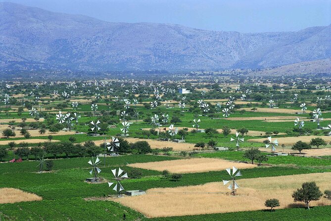 Knossos & lasithi plateau villages,Zeus's cave,&olive oil Mill - Omalia Olive Press: Seeing Olive Oil in Modern and Old Ways