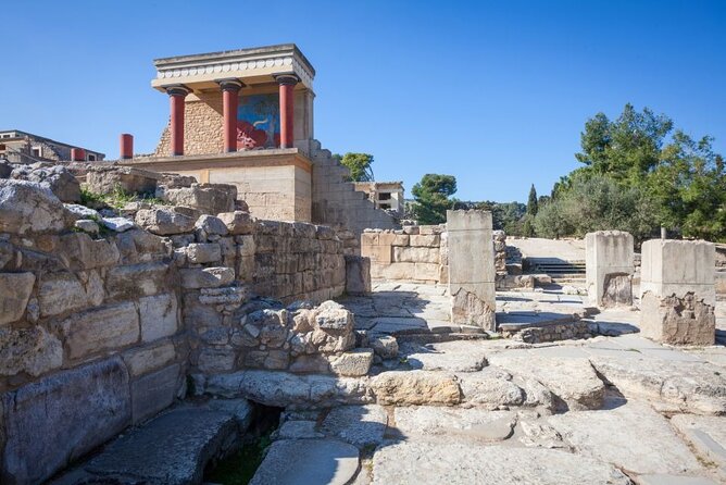 Knossos, Olive Grove, Winery - Distillery with Tastings & Lunch - Should you book? My practical take