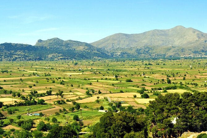 Knossos Palace and/or Zeus Cave + Olive Mill | Local & Private - Cave of Zeus: the seasonal walk and myth in steps