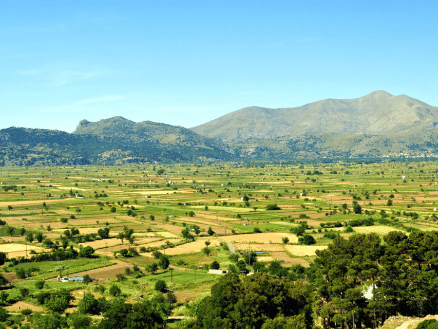 Knossos Palace &/or Zeus Cave + Olive Mill | Local & Private - Lunch on the plateau: plan for real-time, not a fast bite