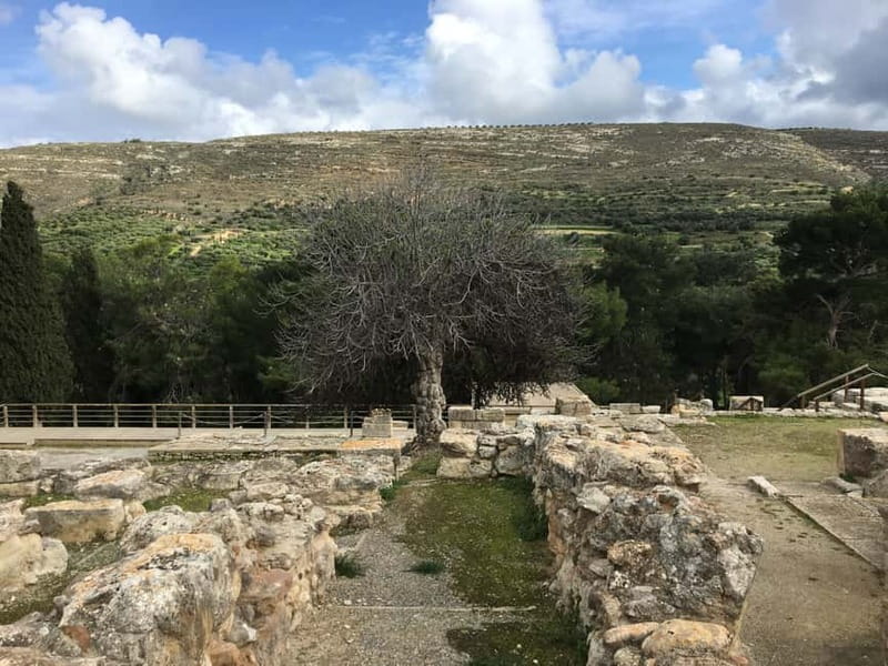 Knossos Palace ( Private tour Skip-The-Line ) - The Throne Room and Royal Residence: Where Power Becomes Visible