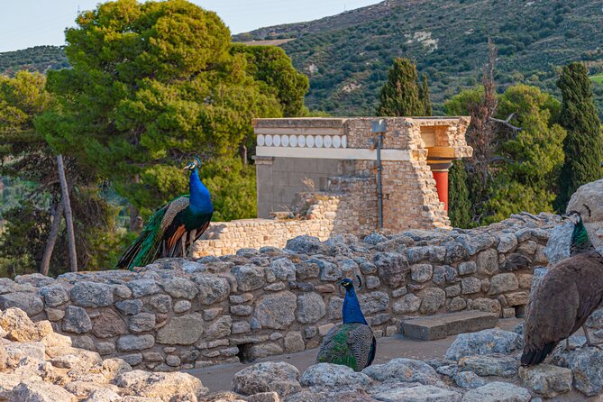 Knossos Palace Private Walking Tour - The practical comfort stuff: tickets, headphones, and staying sane