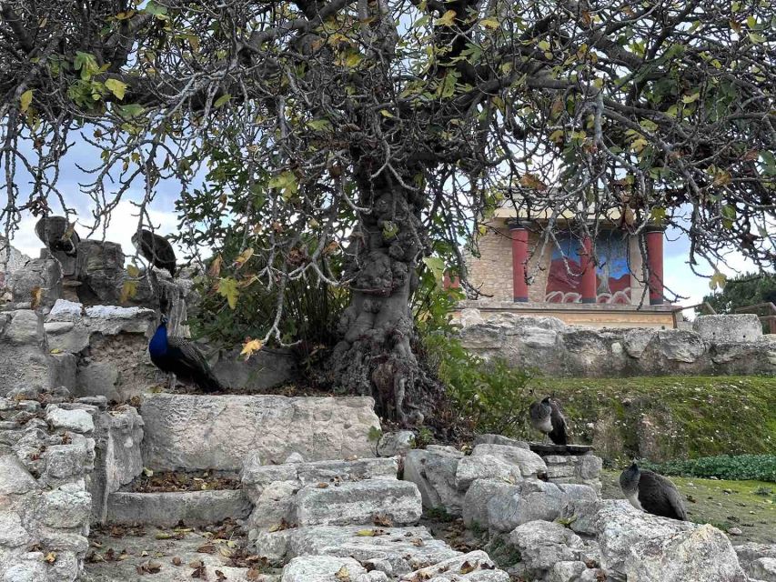 Knossos Palace Skip-the-Line Ticket & Private Guided Tour - Your Licensed Archaeologist Guide: How to Get More Than “Facts”