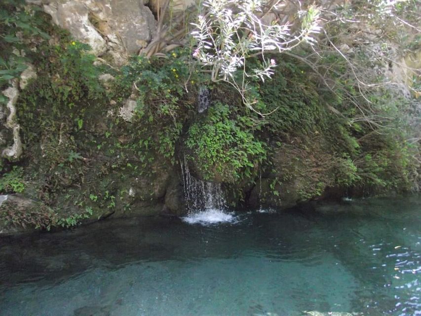 Kourtaliotiko Gorge River Trek with Lunch! Pick-up Avaliable - Following the river: hidden forest vibes and natural pools for real swimming