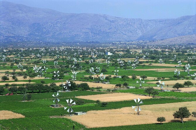 Lasithi - Zeus Cave -Olive Oil Factory - Traditional Villages - Key things to know before you go