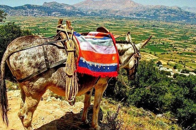 LASSITHI & KNOSSOS CRETE, full day professional guided coach tour - Stop 2: Lassithi Plateau—Cave of Zeus, village lunch, and mountain time