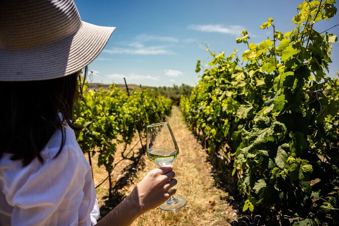 LUXURY PRIVATE Wine Tasting in CRETE (also for CRUISE SHIPS) - Luxury Private Wine Tasting in Crete: Why This Format Works