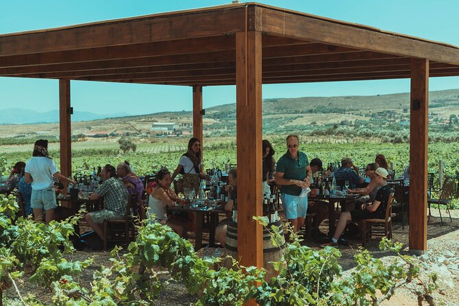 LUXURY PRIVATE Wine Tasting in CRETE (also for CRUISE SHIPS) - Option 1 vs Option 2: No-Lunch Tasting or Vineyard Picnic