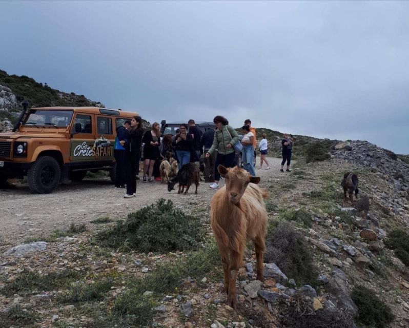 MALIA: East Crete Famous Places (Family and Child Friendly) - Kastelli: coffee, spirits, and quick rural flavor