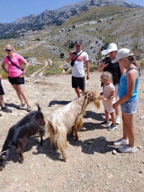MALIA: Land rover Safari Lasithi Plateau and Zeus Cave - Who should book, and who should skip it