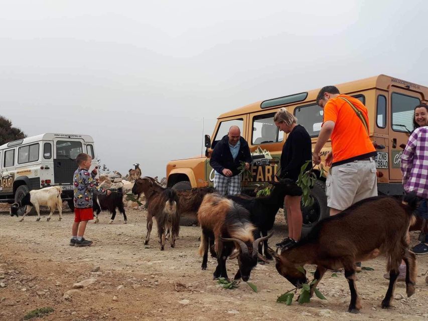 MALIA: Land rover Safari Lasithi Plateau and Zeus Cave - Olive mill stop and shepherd farm: learn by seeing how food is made