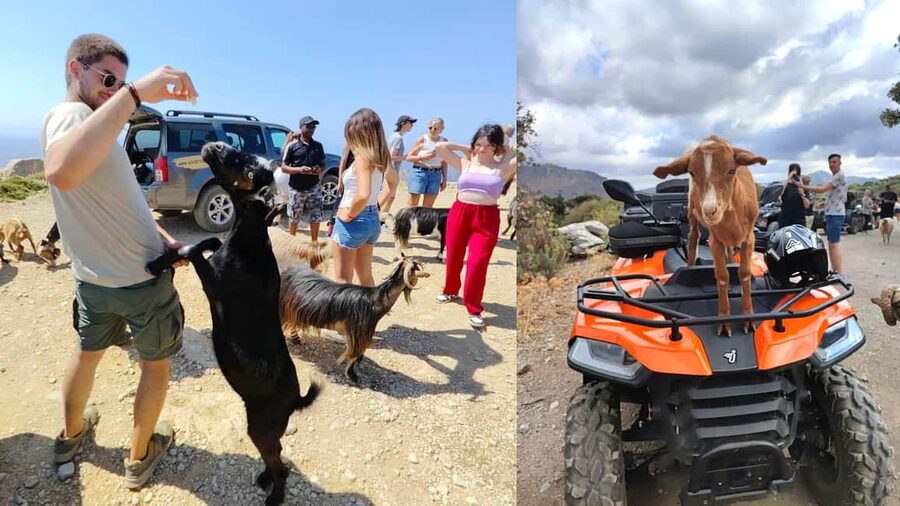 Malia: Off-Road Quad Safari Tour with Lunch and Transfers - Key highlights that matter