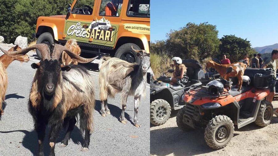 Malia: Off-Road Quad Safari Tour with Lunch and Transfers - Pickup around Malia: easy start, clear handoff