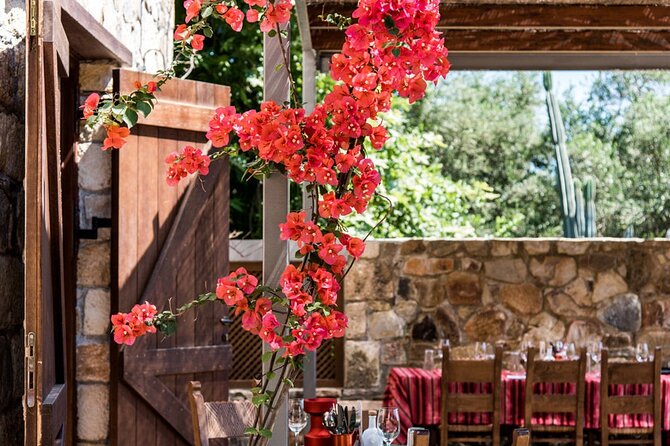 Manousakis Winery Shuttle Service Tour and Taste - Winery Grounds Time: A Short Tour That Still Lets You Look Around