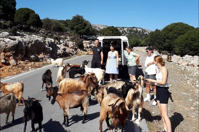 Matala Agiofarago Gorge Guided Jeep Safari Tour - Getting From Your Hotel to Agios Thomas Without Stress